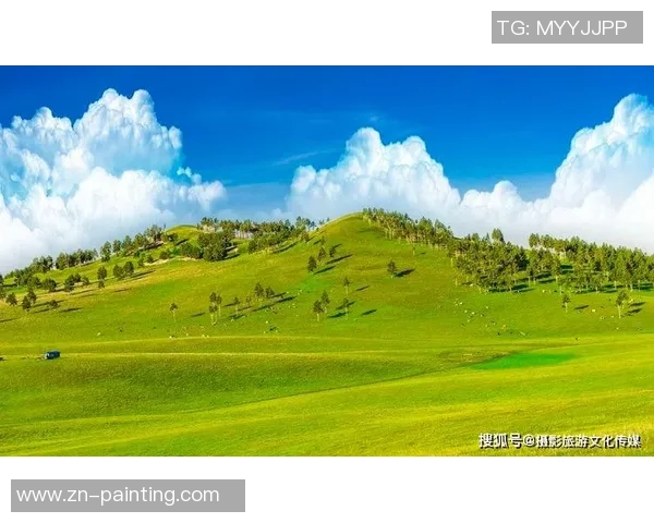 夏松的清凉世界与自然和谐共生的美丽画卷